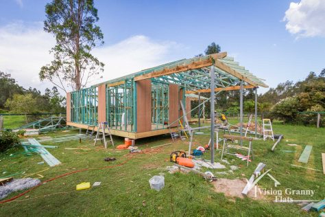 Case Study: South Ripley